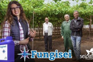 Como a tecnoloxía Furity de Seipasa mellora a acción do funxicida ‘Fungisei’
