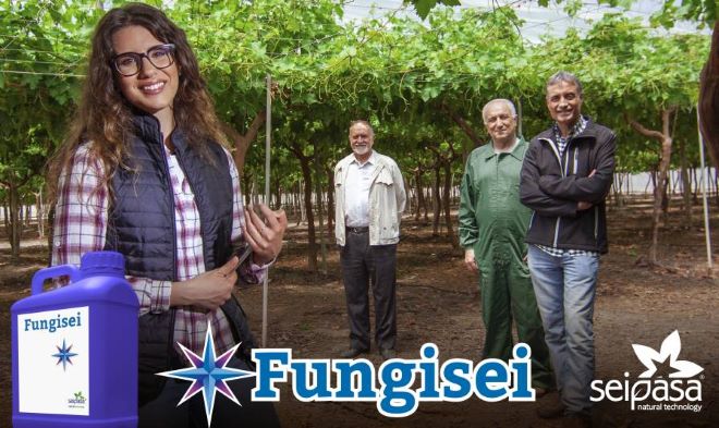 Como a tecnoloxía Furity de Seipasa mellora a acción do funxicida 'Fungisei'