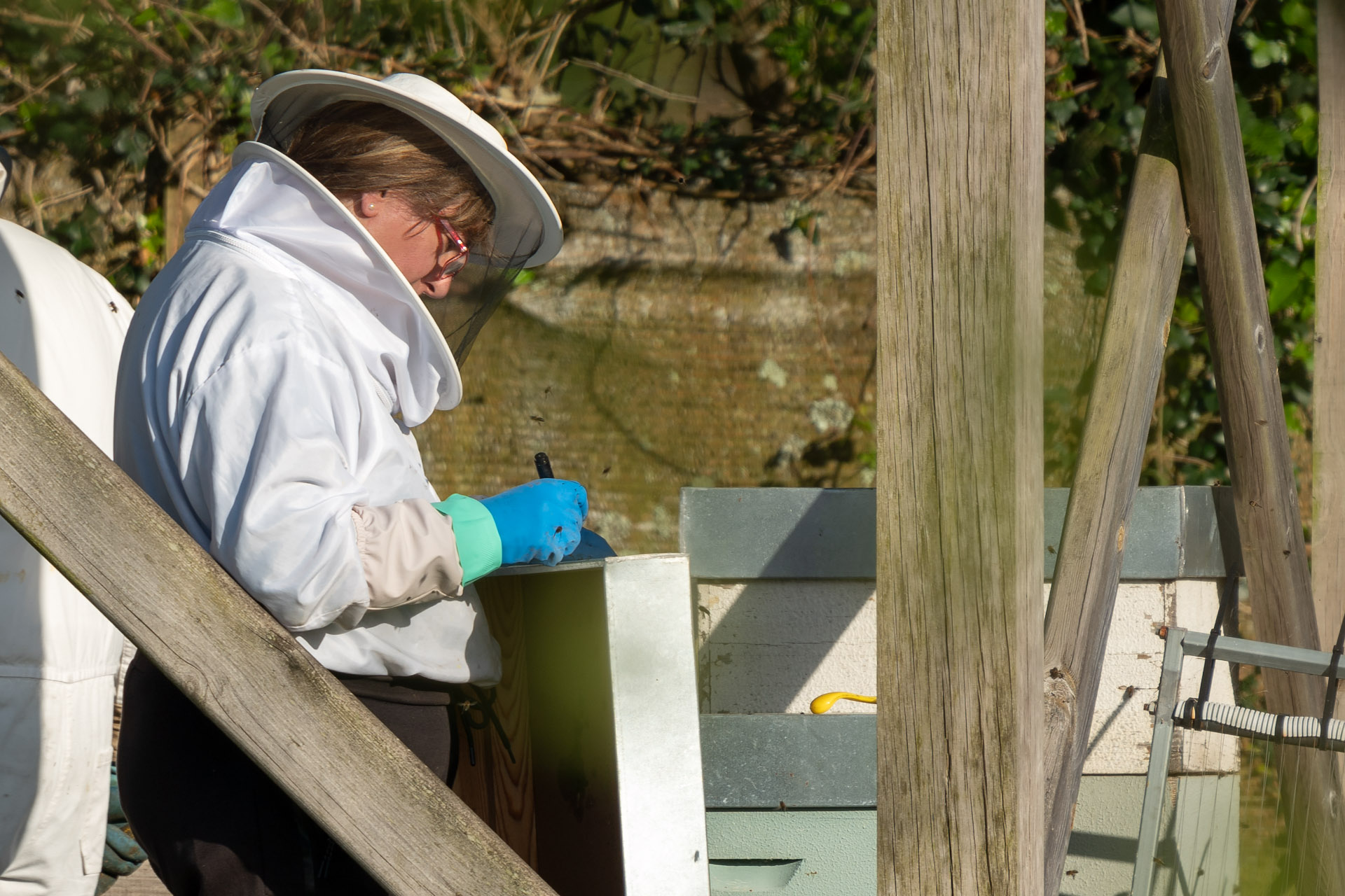Curso de iniciación a la apicultura en San Sadurniño