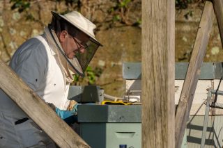 Curso de iniciación á apicultura en San Sadurniño