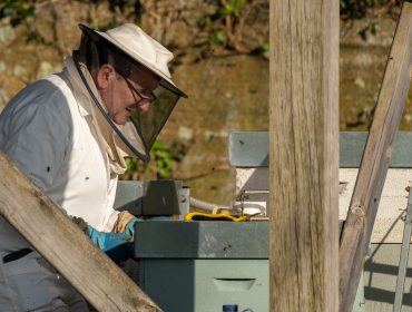 Curso de iniciación á apicultura en San Sadurniño