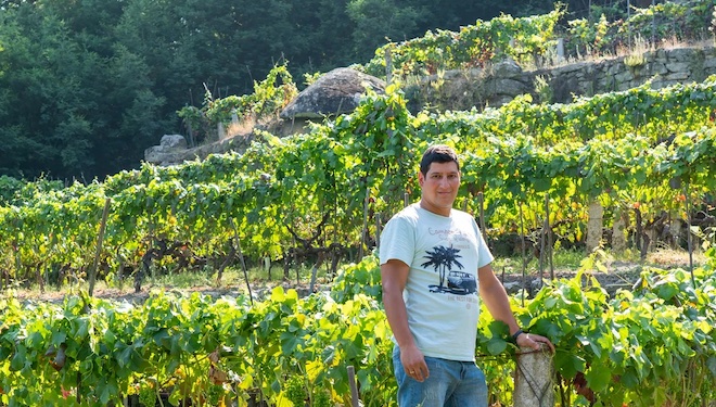 “O viño branco do Ribeiro ten moi boa demanda, non damos producido o que nos pide o mercado”