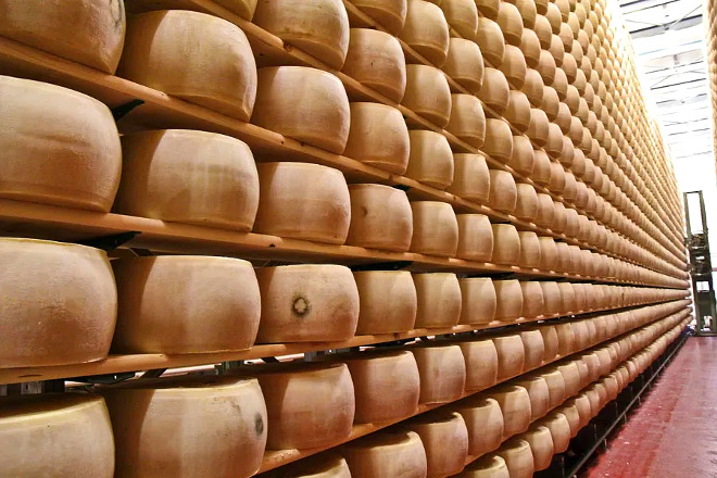 ITALIA almacen queixo parmesano cooperativa Albalat
