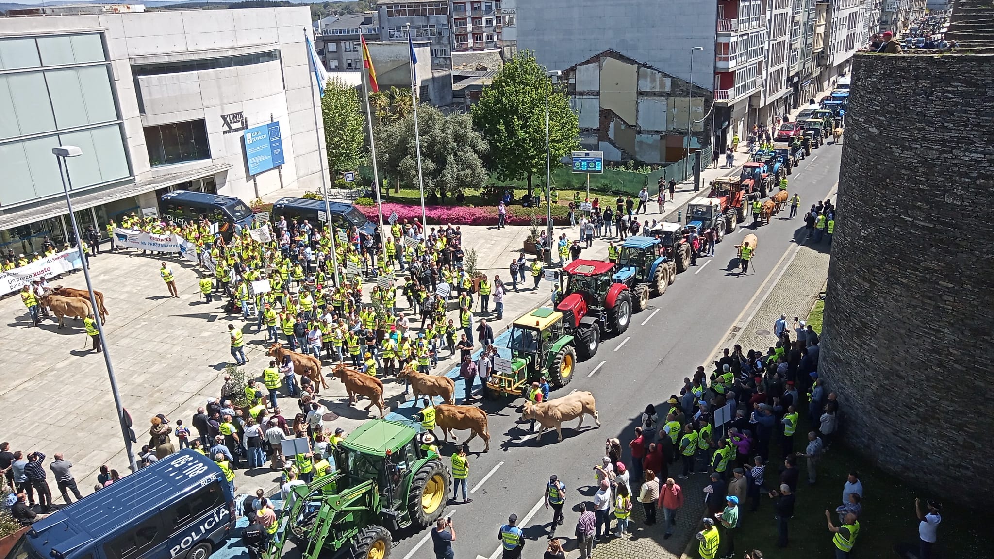Os tractores e o gando na Ronda da Muralla na manifestación do pasado 18 de abril