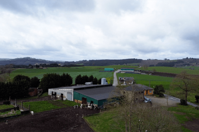 A primeira cuadra, onde se localiza a recría de Ganadería Gaela, e ao fondo a granxa de vacún de leite. / Fonte: Campo Galego