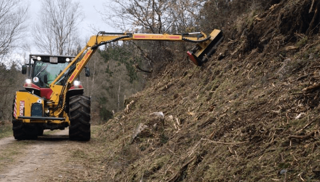 Mejoras de infraestructura y tratamientos preventivos en montes del distrito forestal IX Lugo-Sarria