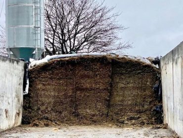 Pautas para a correcta conservación do silo de herba