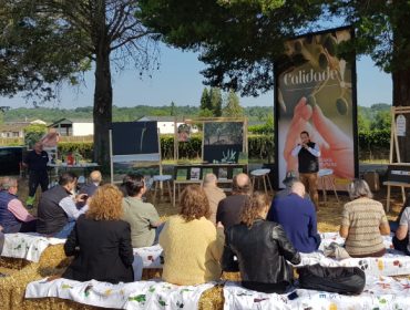 O concello lucense da Pobra do Brollón albergará un campo de ensaio de oliveiras