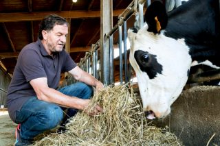 Granja Comas: Producir leite a base de alfalfa nunha zona 