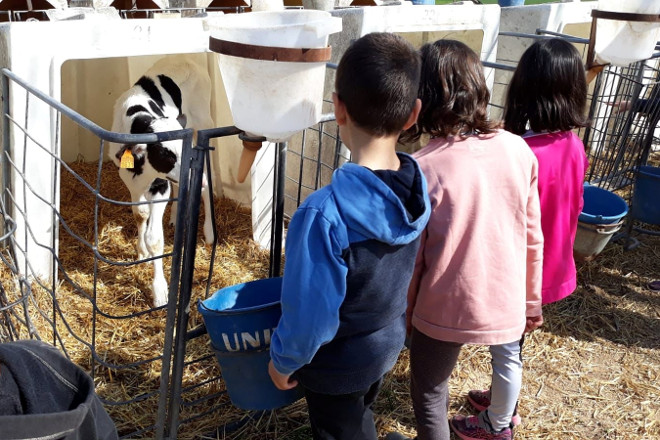 La explotación recibe visitas de escolares y personas que compran directamente en la granja