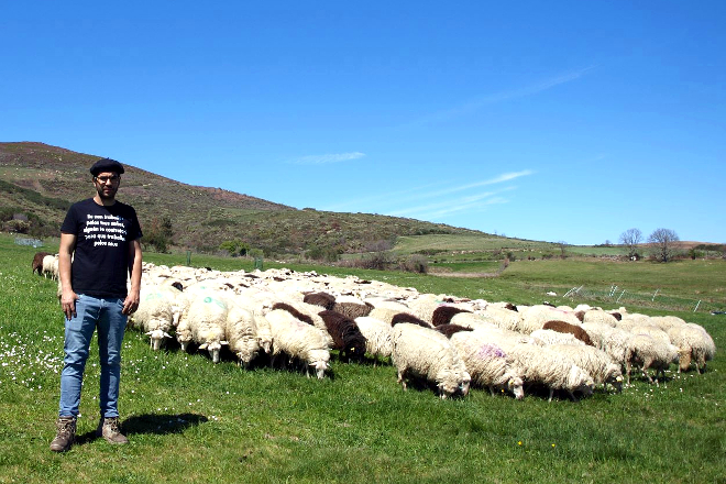 Granxa A Ciruxana, a aposta dun mozo por darlle valor á ovella galega