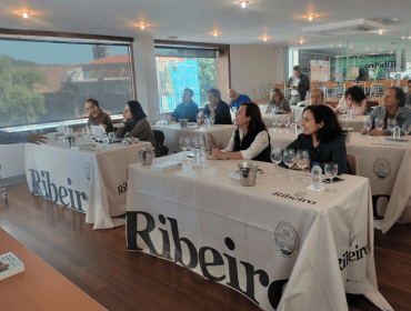 A D.O. Ribeiro recibe a visita de 11 profesionais da enoloxía referentes en España