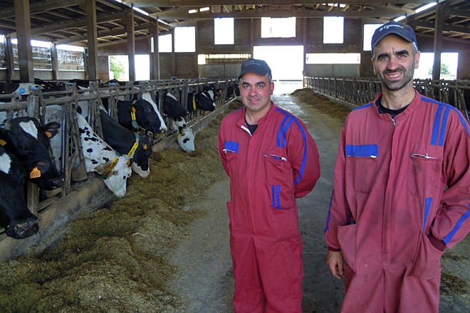 Iago e Jose, xunto a un dos lotes de vacas en produción da súa granxa