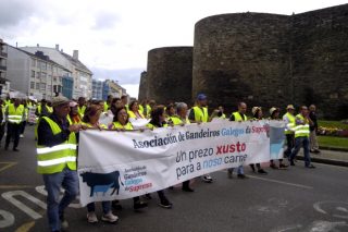 Asemblea de Gandeiros da Suprema o luns 18 en Lugo