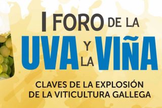 Este martes Ourense acolle o “I Foro da uva e do viño: Claves da explosión da viticultura galega”