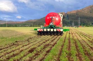 Sementeira directa de millo con aplicación localizada de purín: unha opción pioneira en Galicia