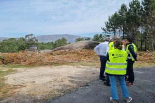A Xunta limpará a biomasa arredor das vivendas en sete concellos nun plan piloto