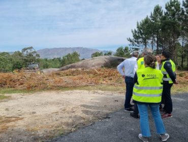 A Xunta limpará a biomasa arredor das vivendas en sete concellos nun plan piloto