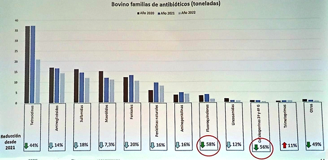 Real Decreto antibioticos consumo vacuno por tipos