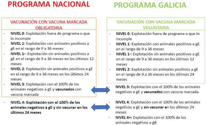 diferenzas clasificacion explotacions programa nacional e programa galego IBR