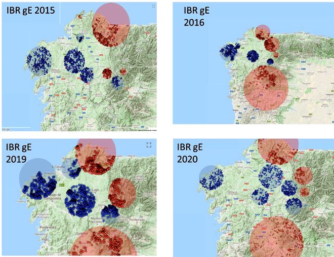 mapa epidemiologico mayor presencia de IBR en Galicia