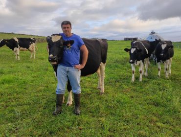 Gandería de Anselmo Pires (Azores-Portugal): Vacas sen establo alimentadas en base a pasto e cunha media de 7500 litros