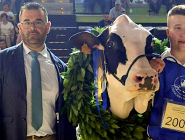 “Os animais gañadores dos concursos morfolóxicos teñen que ser boas vacas leiteiras”