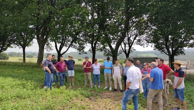 Participantes na xornada celebrada en días pasada pola EFA Fonteboa e Limagrain Ibérica, durante unha visita a un prado de alfalfa.