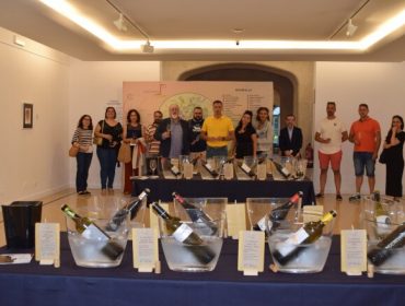 Túnel do viño da D.O. Monterrei na Deputación de Lugo