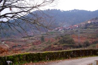 Declarados de utilidade pública pola Xunta tres polígonos agroforestais de Ourense