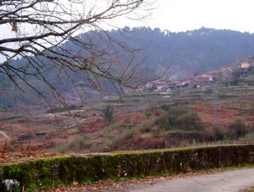Declarados de utilidade pública pola Xunta tres polígonos agroforestais de Ourense