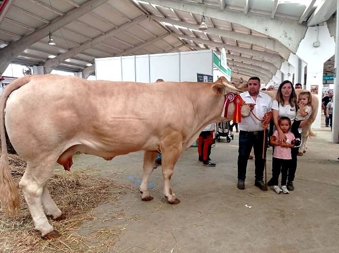 Daniel e a súa familia con Lavanda, a vaca emblema da gandería, na feira Salamaq