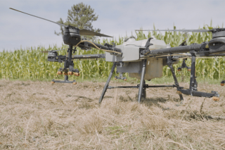 O dron: unha nova tecnoloxía para a fertilización do millo