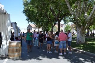 Amplo programa de actividades na XVI Feira do Viño de Monterrei
