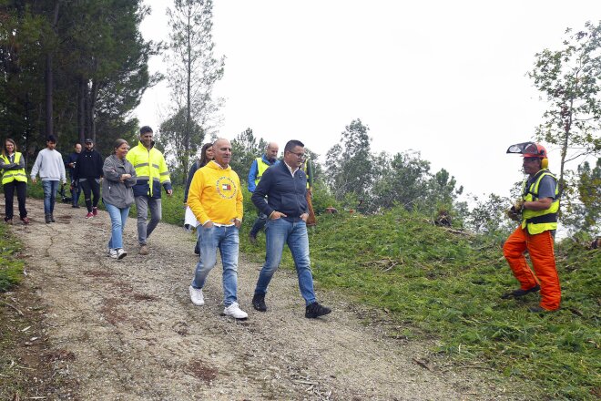 A Xunta elimina 33 hectáreas de acacia invasora para impulsar o polígono de Barzamedelle