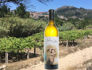 Distinción para o “viño da area” dos viñedos centenarios de Cangas do Morrazo