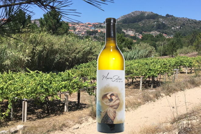 Distinción para o “viño da area” dos viñedos centenarios de Cangas do Morrazo