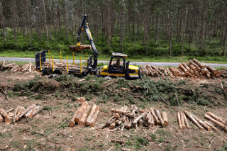 Axudas para a segunda transformación da industria forestal – madeira e para o contract