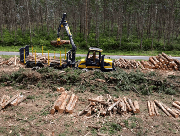 A Xunta aproba apoios para a industria forestal e de segunda transformación da madeira por importe de 16,5 millóns de euros