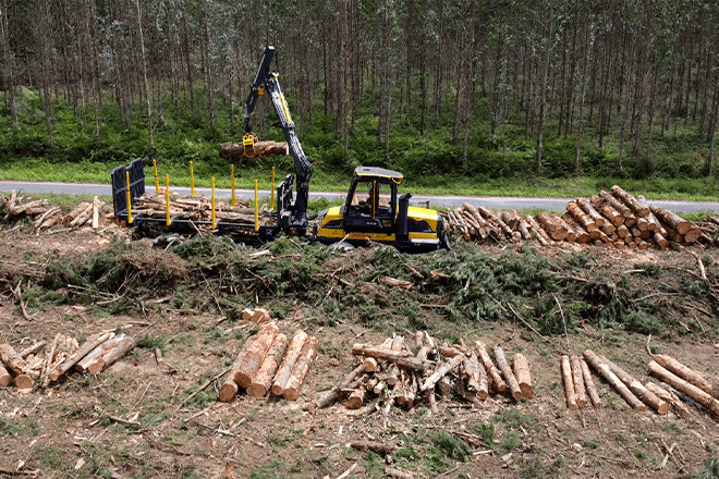 A Xunta aproba apoios para a industria forestal e de segunda transformación da madeira por importe de 16,5 millóns de euros