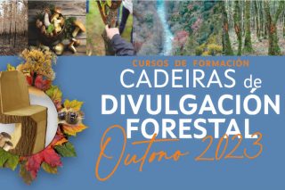 Xornadas formativas en Lugo para o sector forestal 