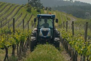 Quinta das Arcas, un adega portuguesa con máis de 200 hectáreas de viñedos que aposta polas cubertas vexetais 
