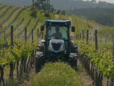 Quinta das Arcas, un adega portuguesa con máis de 200 hectáreas de viñedos que aposta polas cubertas vexetais