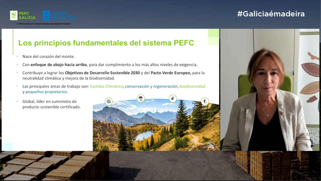 90 profesionales del sector forestal participan en el webinar organizado por PEFC Galicia