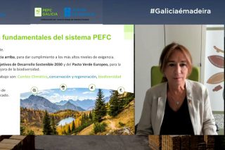 90 profesionais do sector forestal participan no webinar organizado por PEFC Galicia