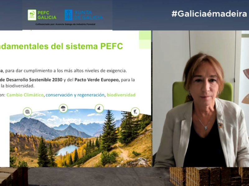 90 profesionais do sector forestal participan no webinar organizado por PEFC Galicia