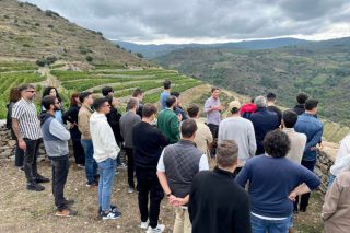Un grupo de alumnos do Instituto Galego do Viño coñece in situ o potencial enolóxico de Valdeorras