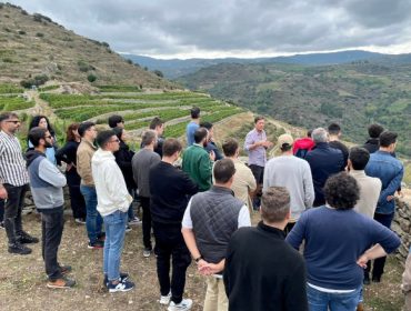 Un grupo de alumnos do Instituto Galego do Viño coñece in situ o potencial enolóxico de Valdeorras