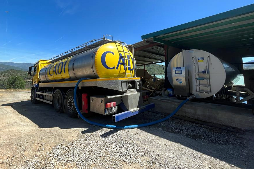 Camión cisterna de la cooperativa Cadí recogiendo la leche de la explotación