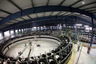 China: a construción dunha potencia láctea